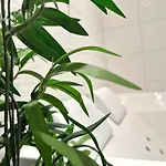 Le Manille * 낭트