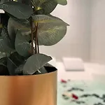 아파트 Le Manille *