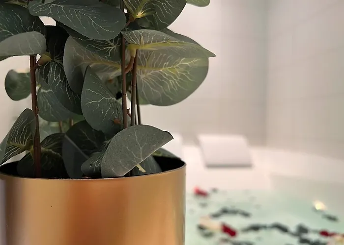 Apartmán Le Manille *